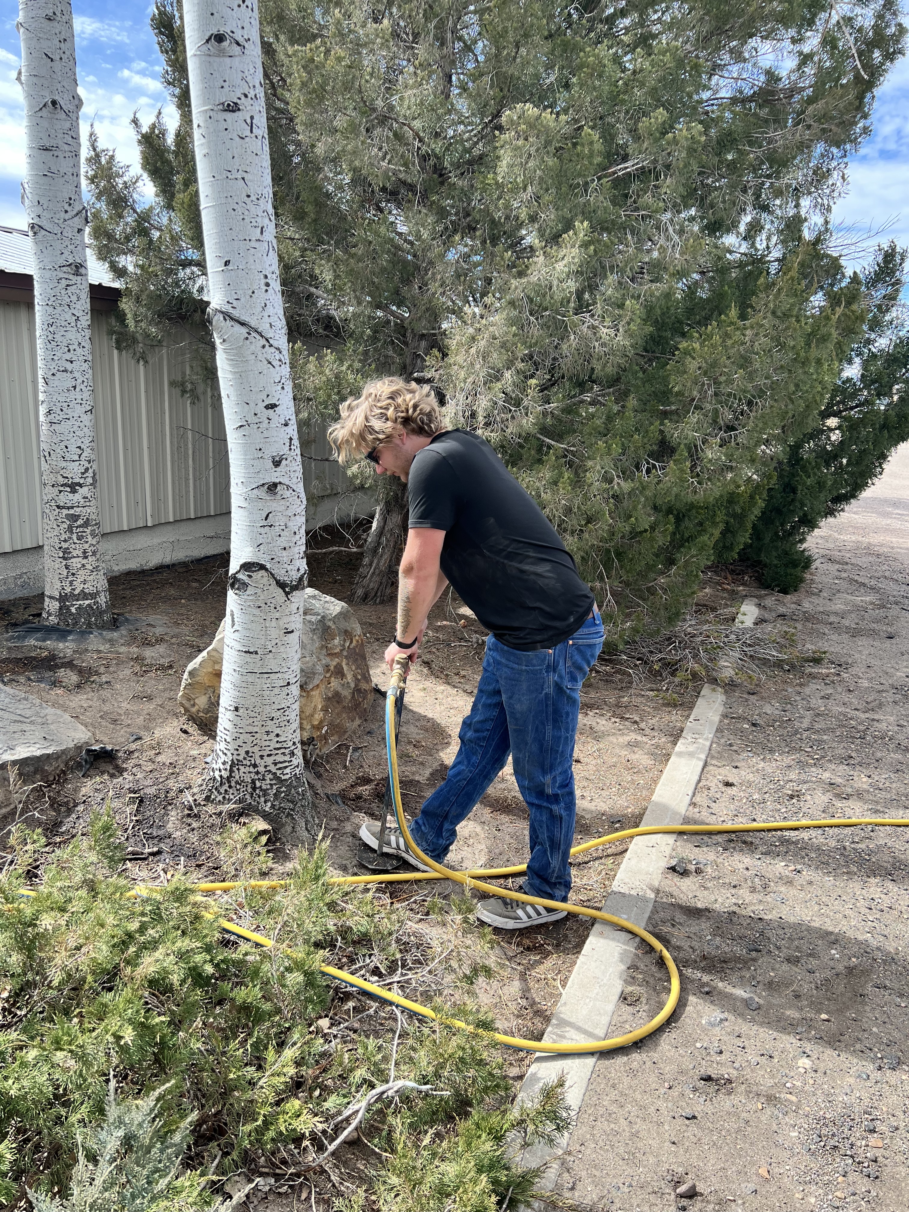 Arborist applying a root-feeding treatment to a tree